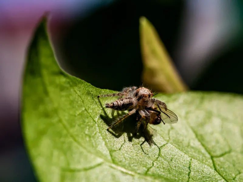 Life Finds a Way — And Then Gets Eaten: How the Best Fictional Worlds Build Ecosystems That Actually Work